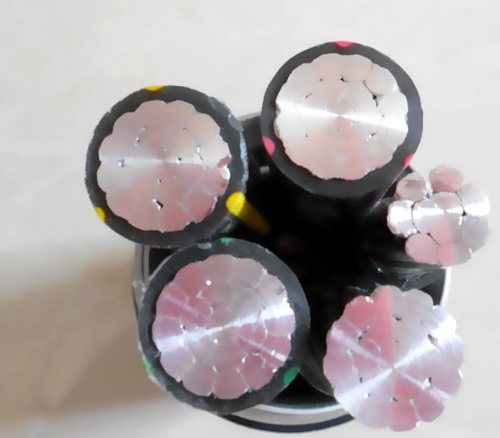 �X�Ͻ���(d��o)�w���~��(d��o)�w����