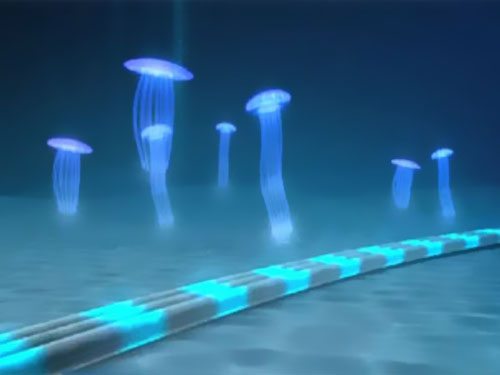 ���_�TȺ�u������|�Ŀ�@��