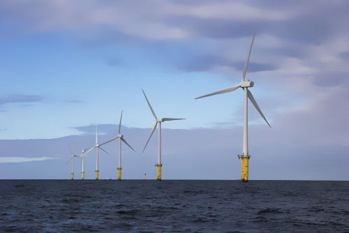 �����r(sh��)������|�(xi��ng)Ŀ�@�WͶ��1�|�WԪ�J��